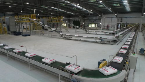 国内同类装置首次！榆能化PP3装置顺利产出新产品，开启高性能聚丙烯自主供应新篇章