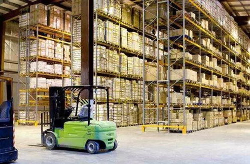 经济与管理类专业选择指南 女生报考热门与国内贸易代理专业解析